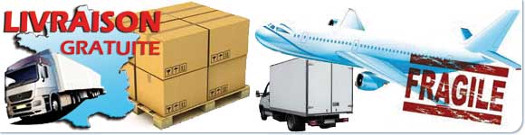 Livraison des CD et DVD par transporteur, transport standard par messagerie ou express